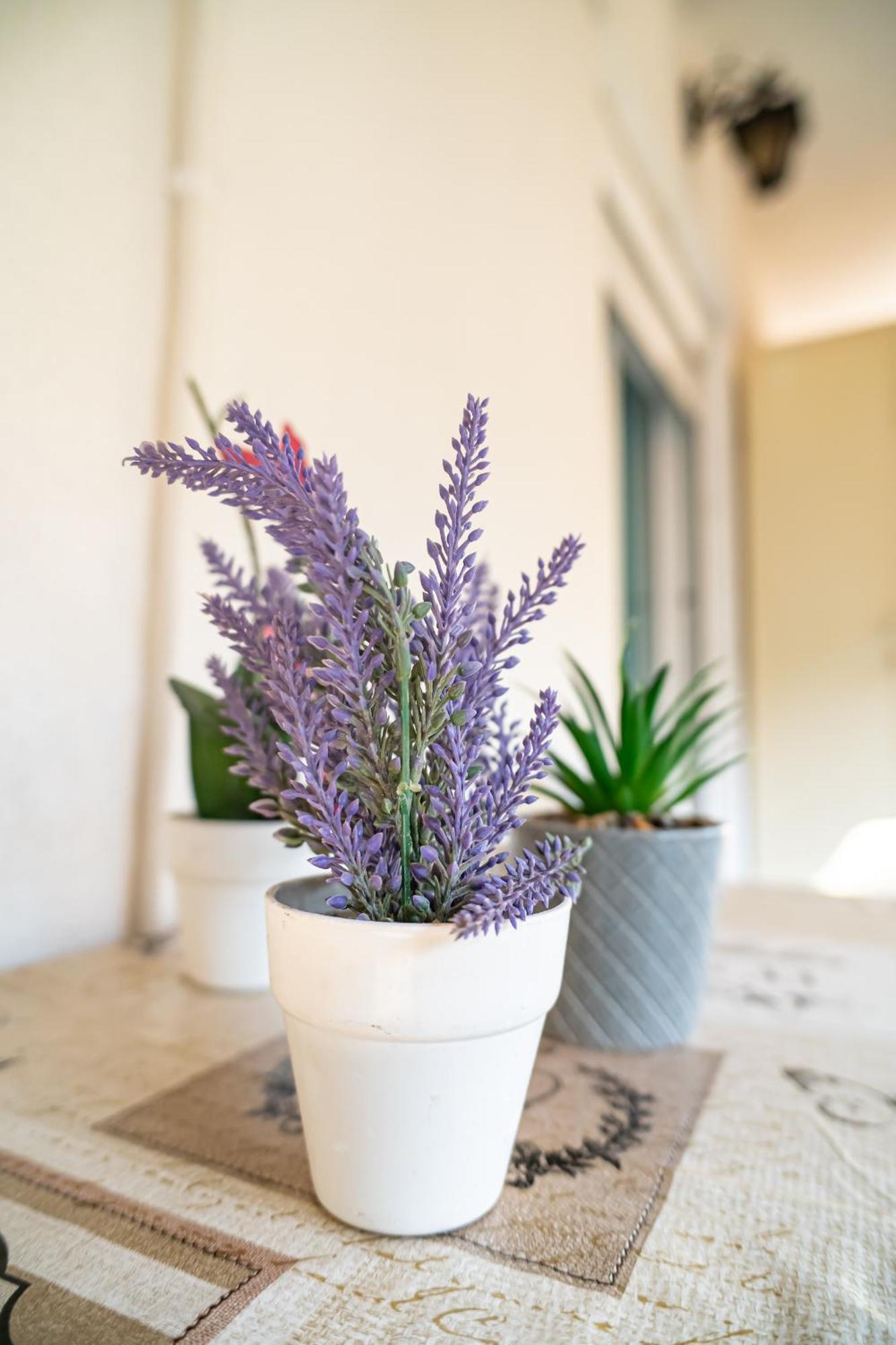 Feel Greek Hospitality #Θ006 Lejlighed Thessaloníki Eksteriør billede